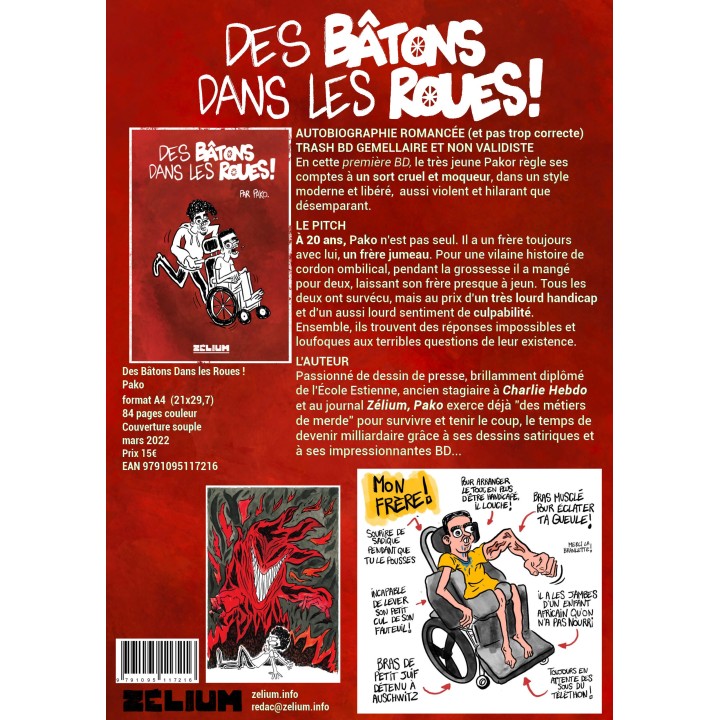 Des bâtons dans les roues - Pako